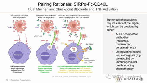 生物技術(shù)公司Shattuck上市首日大漲14%，市值突破7億美元
